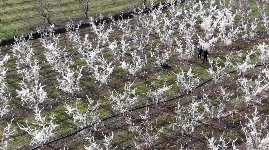 'Meraktan öldük, herkesin dikkatini çekmiş' Yöntemini gören şaştı kaldı! 'Bunu yapmasaydı kayıp yaşardı'