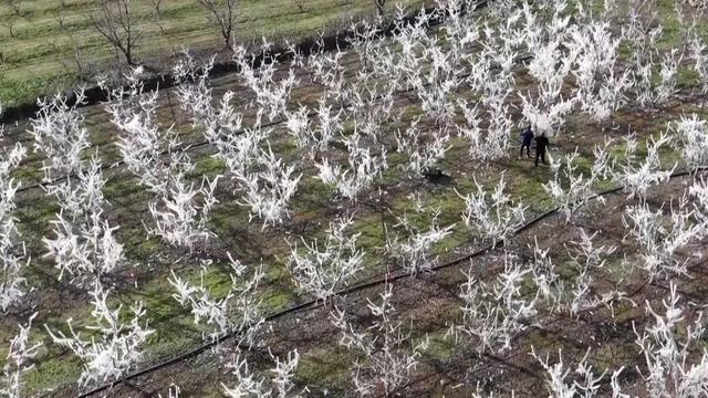 'Meraktan öldük, herkesin dikkatini çekmiş' Yöntemini gören şaştı kaldı! 'Bunu yapmasaydı kayıp yaşardı'
