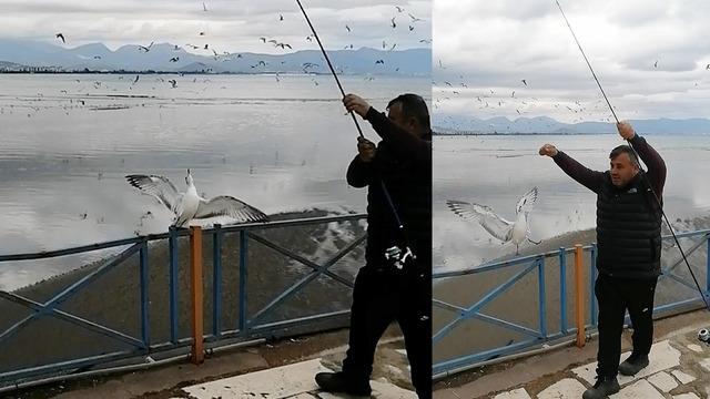 Balık tutmak isterken ağına takıldı! Görenler gözlerine inanamadı: Ben mi sana 'yakalan' dedim 