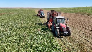 O ilde çiftçilere 903 milyon TL destekleme ödemesi! 16 bin 404 üreticiye...