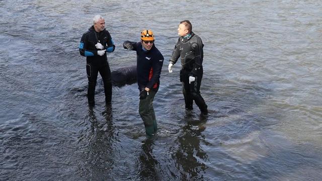 Yeşilırmak'ta erkek cesedi bulundu
