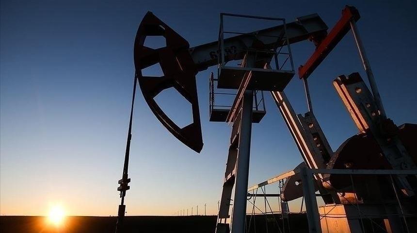 Antalya, Muğla, Bitlis ve Siirt için 'petrol' kararı Resmi Gazete'de