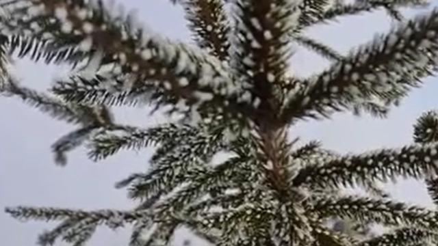 Göle eksi 32,1 derece ile rekor kırdı! Türkiye'nin en soğuk yerleşim yeri oldu