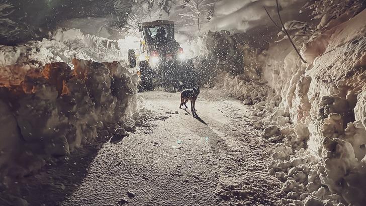 Artvin'de 28 yıl sonra bir ilk! Böyle bir kar kalınlığı görülmedi... G5