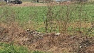 Menderes Nehri’ni kirleten firma cezadan kaçamadı