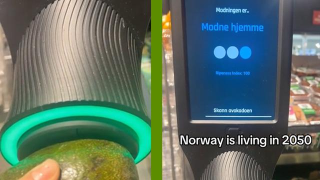 Avokado seçimini senin için yapıyor: Olgunluk düzeyini anında gösteren cihaz Türkiye'ye gelecek mi?