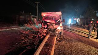 Refüje çıkan kamyonet ağaçları devirip, direğe çarparak durabildi