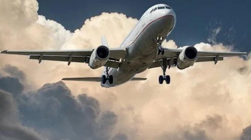 ABD'de kuş çarpan kargo uçağı acil iniş yaptı