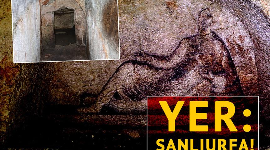 Evin avlusunda bulundu, ilk kez kayıt altına alındı: "Benzerlerinden farklı bir görüntüye sahip"