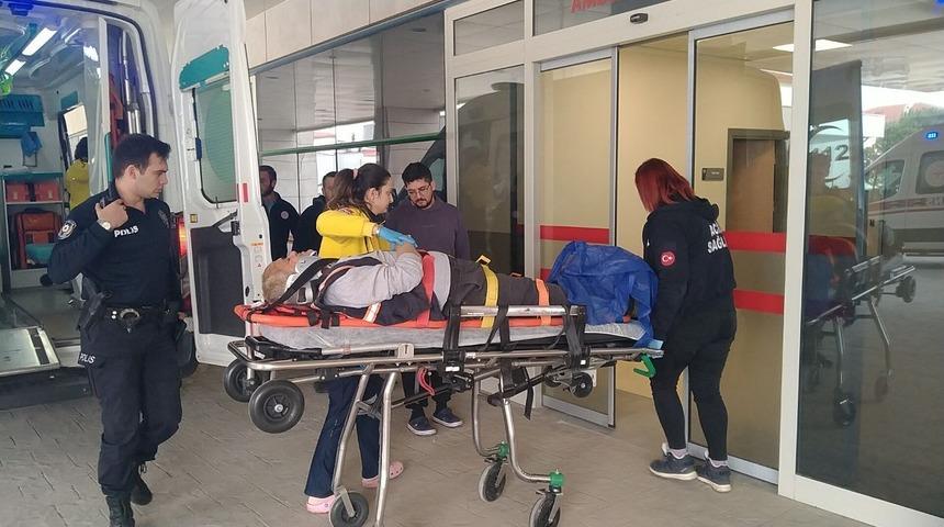 Ağaç budarken ölümden döndü