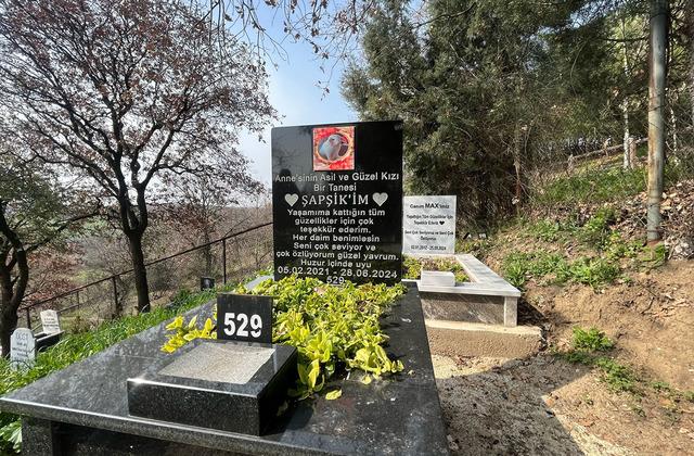 Yer Bursa… Evcil hayvanlar için 2 bin 500 liraya özel mezar yeri!