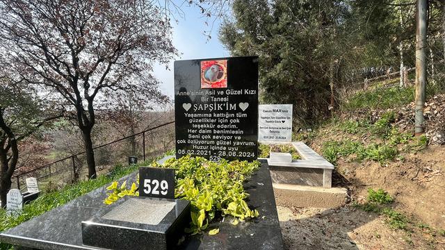 Yer Bursa… Evcil hayvanlar için 2 bin 500 liraya özel mezar yeri!