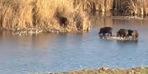 Dicle Nehri'nde görüntülendiler! Sonra gözden kayboldular