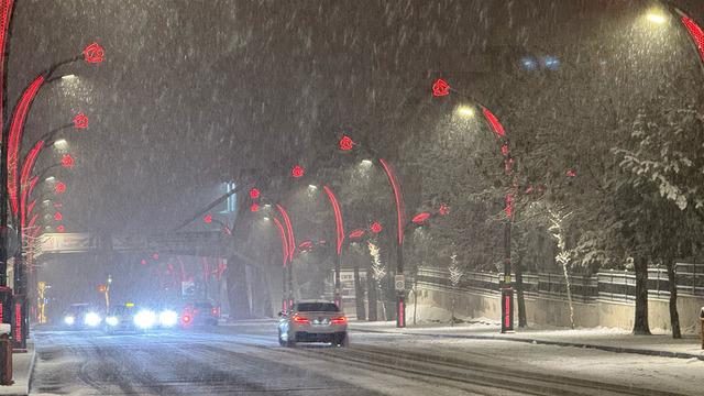 Bingöl'de kent merkezi ve 5 ilçede eğitime 1 gün ara verildi!