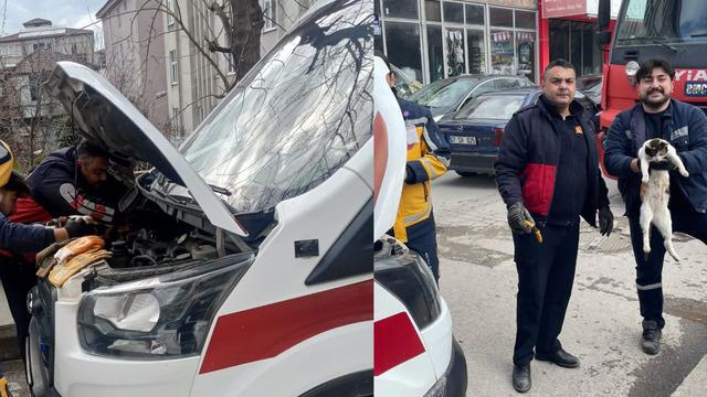 Kedi bu sefer korkuttu… Ambulansın motor bölümüne sıkıştı sağlık ekipleri müdahale etti