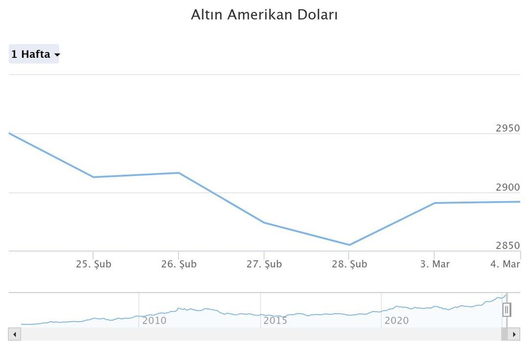 altn-amerikan-dolar (2)