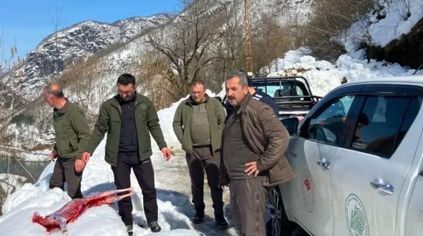 Suçüstü yakalandılar! 40 bin liradan fazla ceza kesildi