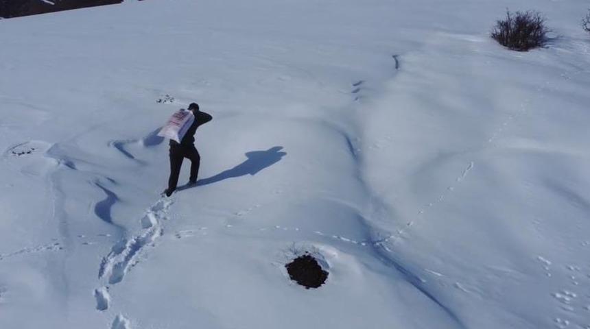 Bayburt'ta yaban hayvanları unutulmuyor: Karla kaplı araziye yem bırakıldı