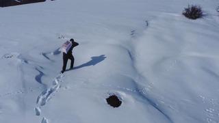 Bayburt'ta yaban hayvanları unutulmuyor: Karla kaplı araziye yem bırakıldı