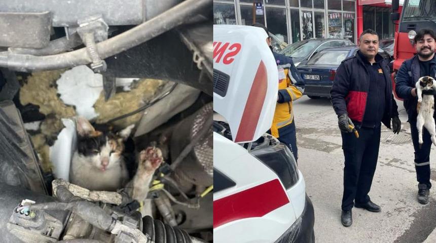 Ambulansın motor bölümüne giren kedi müdahaleyle kurtarıldı