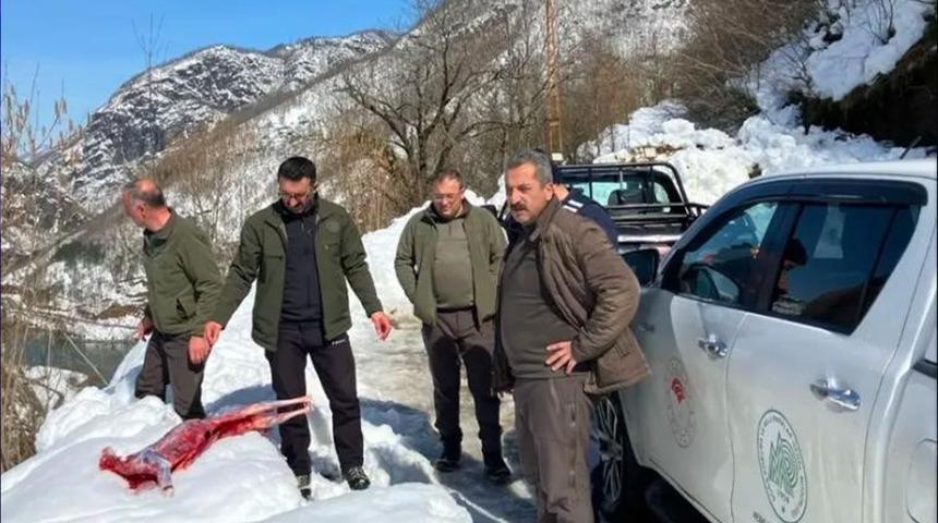 Geçtiğimiz gün av sezonu kapanmıştı! Artvin'de bugün kaçak avcılar yakalandı: Rekor para cezası kesildi