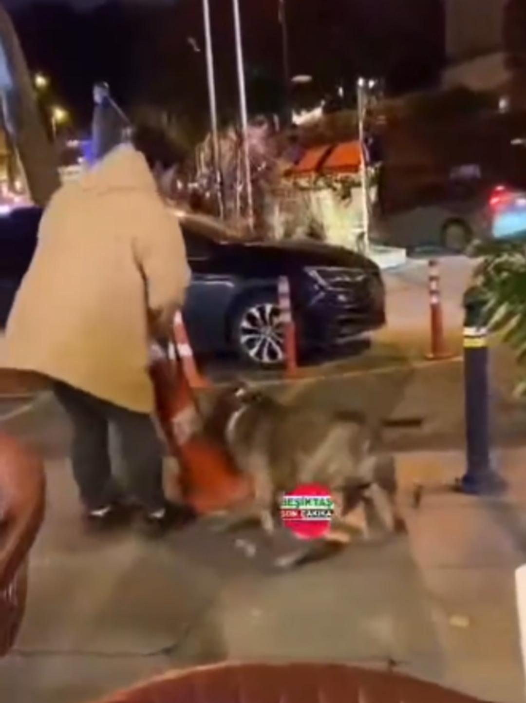 Dişlerini adeta kilitledi! Sahibi çekiştirse de bırakmadı... Pitbull cinsi köpeğin o anları dikkat çekti 2