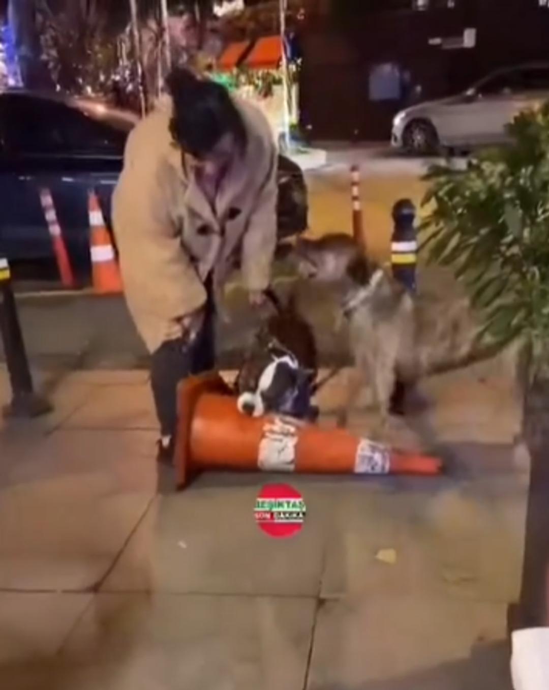 Dişlerini adeta kilitledi! Sahibi çekiştirse de bırakmadı... Pitbull cinsi köpeğin o anları dikkat çekti 3