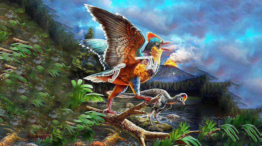 Çin'de 149 milyon yıl öncesine ait iki kuş fosili keşfedildi!