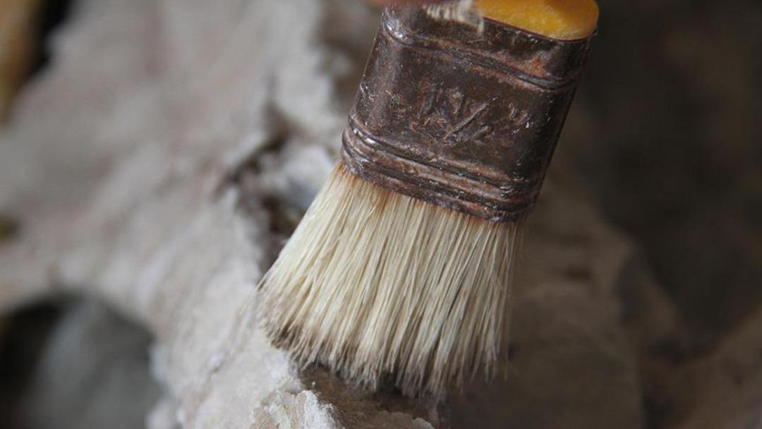 Yeni bir tür oluşturdular! Bu diğerlerinden farklı bulunmadı, yaratıldı... Mamutun genleri farelere aktarıldı 3