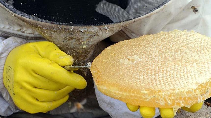 Bitlis balı coğrafi işaret tescili aldı! Artık kalitesiz bal satanlara cezai işlem uygulanacak, denetimler sıkılaşacak