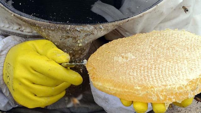 Bitlis balı coğrafi işaret tescili aldı! Artık kalitesiz bal satanlara cezai işlem uygulanacak, denetimler sıkılaşacak