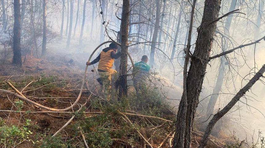 Alevler büyümeden harekete geçildi: Osmaniye'deki orman yangınında 10 dekar örtülü alan zarar gördü