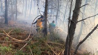 Alevler büyümeden harekete geçildi: Osmaniye'deki orman yangınında 10 dekar örtülü alan zarar gördü