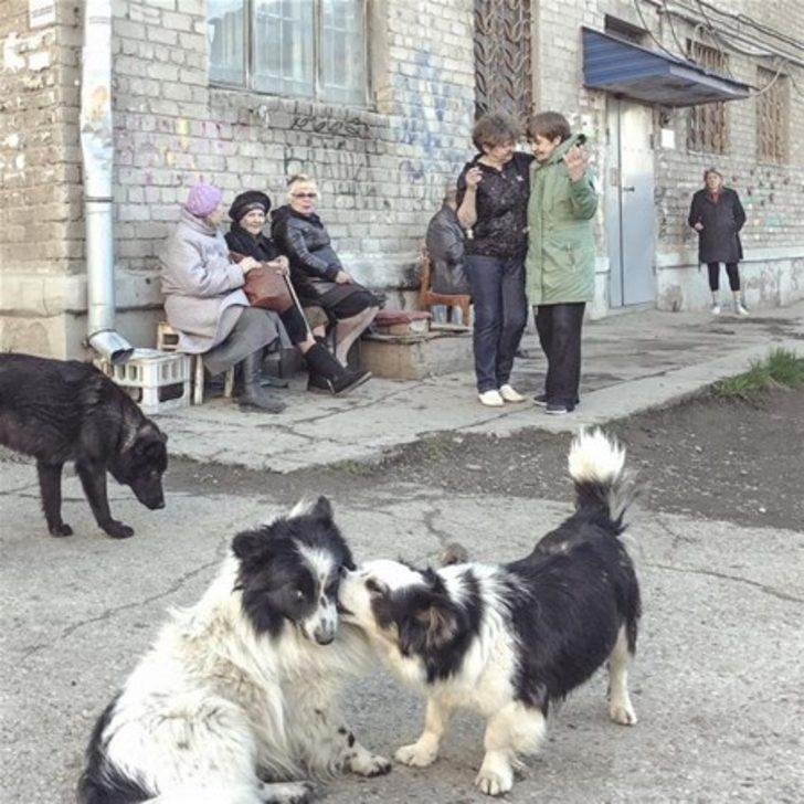 Birde görünmeyeni görün G4