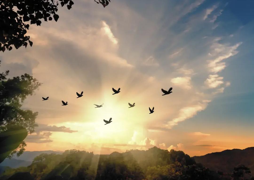 Az eşya ger&ccedil;ekten &ccedil;ok konfor mu? Minimalizm size iyi gelecek! 6