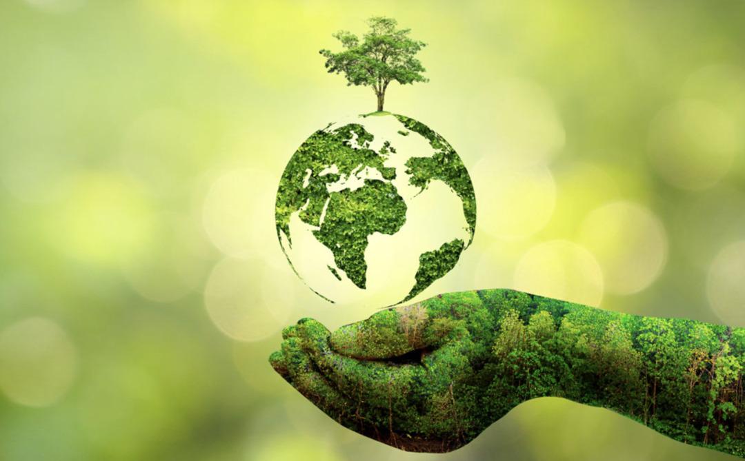 Az eşya ger&ccedil;ekten &ccedil;ok konfor mu? Minimalizm size iyi gelecek! 8