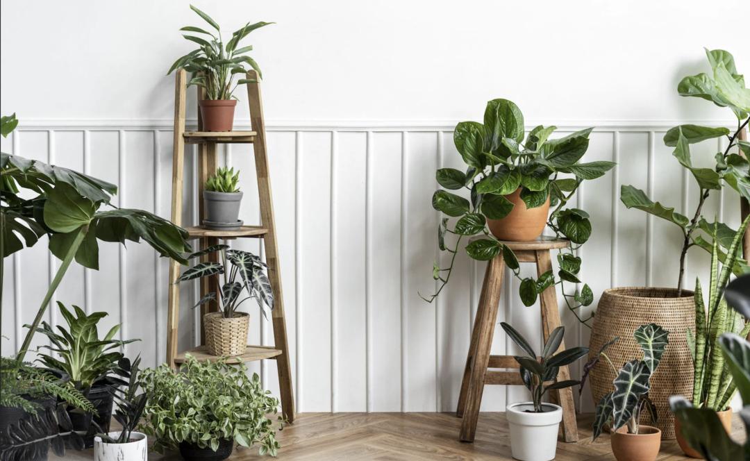 Evin havasını anında değiştirecek küçük ama etkili dokunuşlar burada! 2