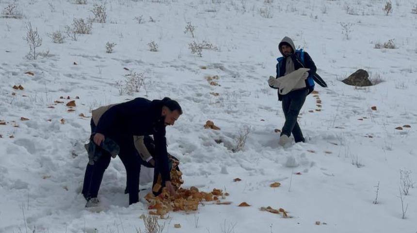 Muradiyeli hayvanseverler yaban hayvanlarını unutmadı