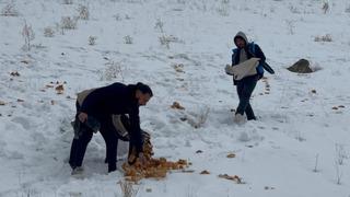 Muradiyeli hayvanseverler yaban hayvanlarını unutmadı