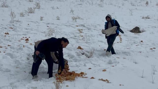 Muradiyeli hayvanseverler yaban hayvanlarını unutmadı