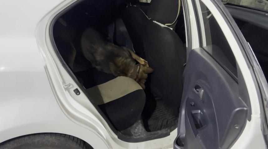 Otomobilin konsolu altındaki uyuşturucuyu 'Mailo' buldu