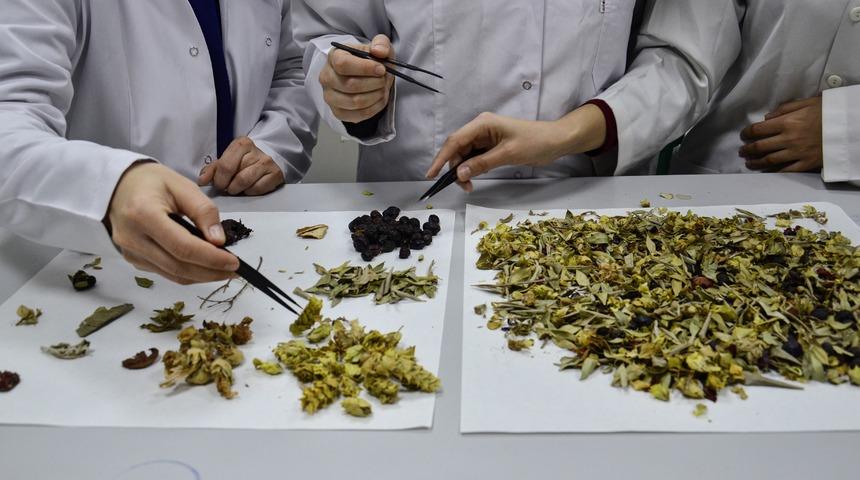 Araştırma sonucu korkuttu: Şifa bulmak için içilen kış çayları yarardan çok zarar verebilir!