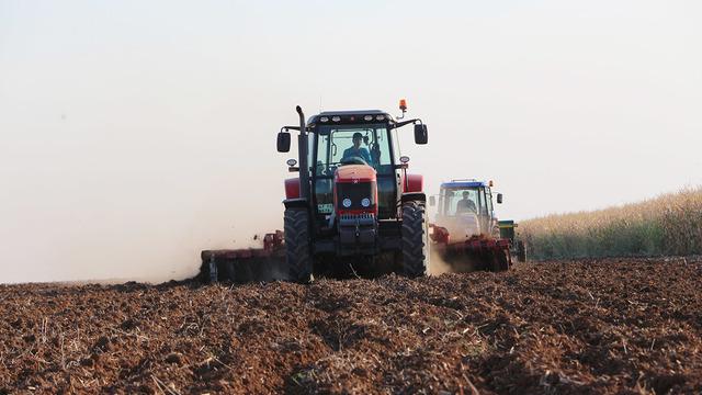 Mardin'de 3 milyon dönüm alana buğday ekildi