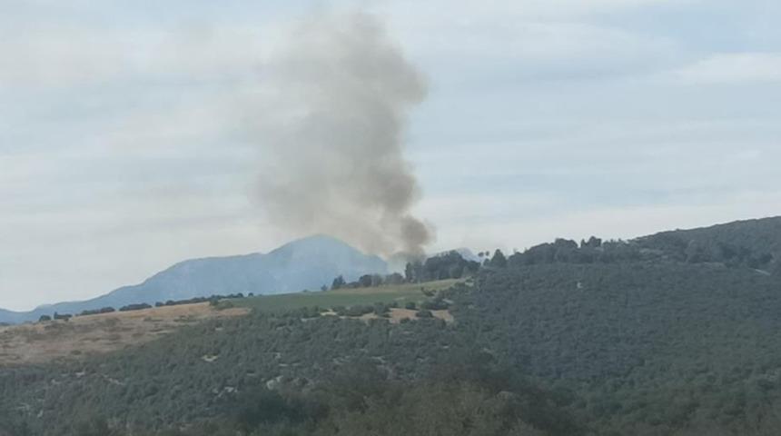 Kahramanmaraş'ta ormanlık alanda çıkan yangın söndürüldü