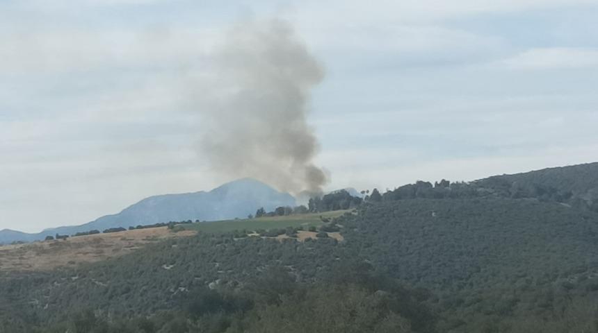 Kahramanmaraş'ta ormanlık alanda yangın: 1 saatte söndürüldü