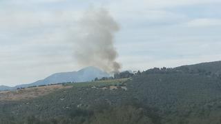Kahramanmaraş'ta ormanlık alanda yangın: 1 saatte söndürüldü