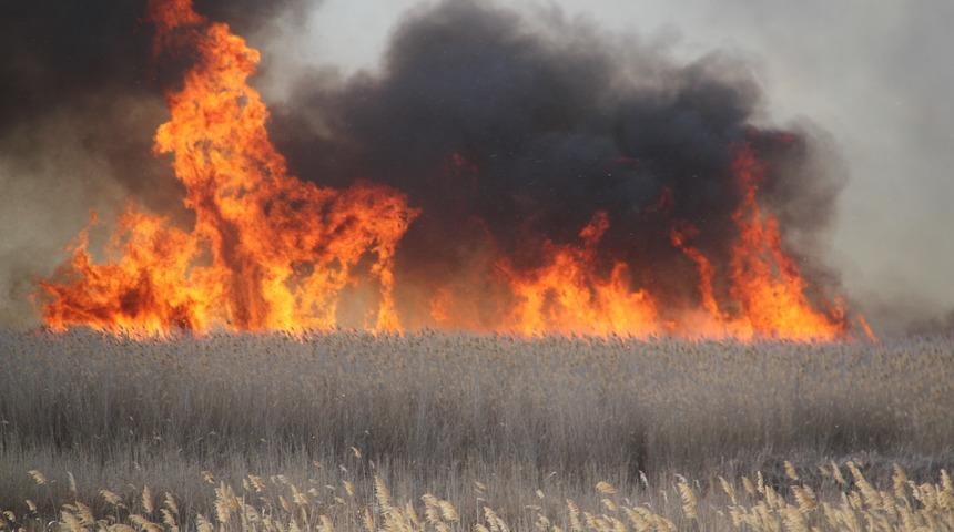 Alevler gökyüzüne yükseldi: Beyşehir Gölü Milli Parkında sazlık alanda yangın!