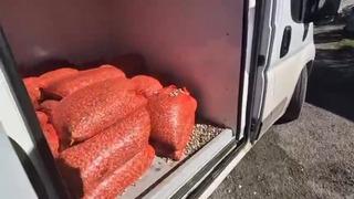 Samsun’da 1 ton 180 kilogram kaçak midye ele geçirildi! 75 bin 540 TL ceza kesildi