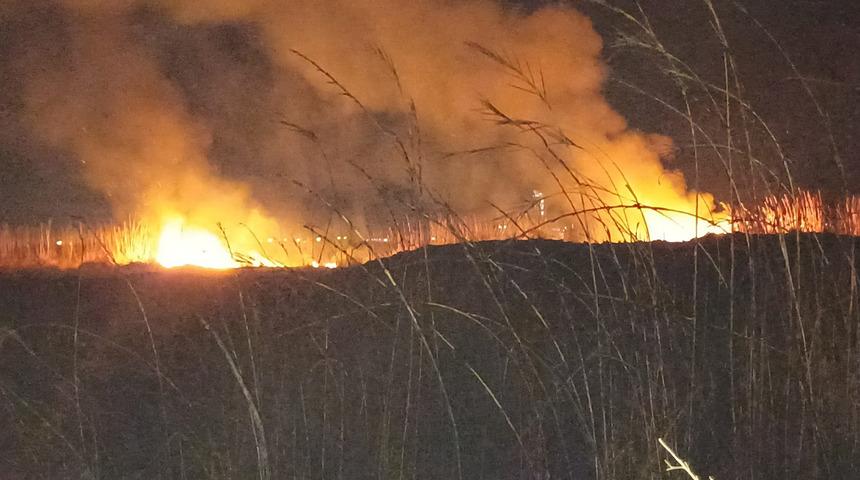 Hatay'da korkutan yangın! Sazlık alev aldı, yangın gece boyu sürdü: İnceleme başlatıldı