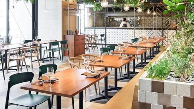 Zorlu'daki lüks restoran Bakanlığın ifşa listesine girdi! Yüzde yüzde manda süte dedikleri üründen inek sütü çıktı